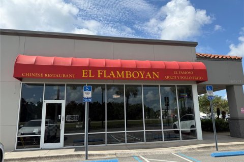 Commercial property in Orlando, Florida 195.09 sq.m. № 2259222