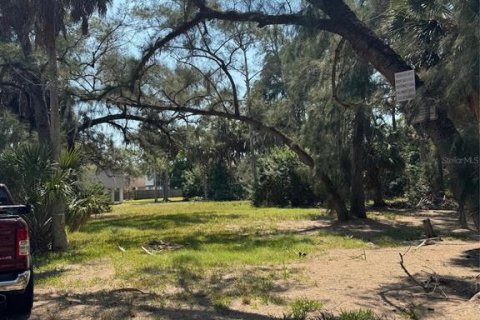 Land in New Port Richey, Florida № 2163460 - photo 2