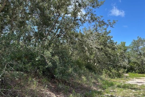 Land in Kissimmee, Florida № 2150459 - photo 3