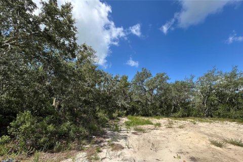 Land in Kissimmee, Florida № 2150459 - photo 4