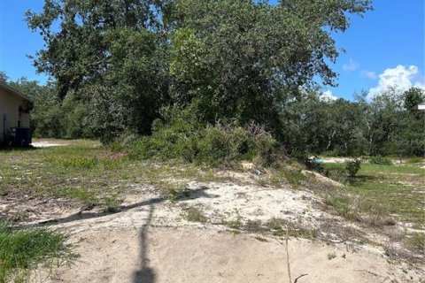 Land in Kissimmee, Florida № 2150459