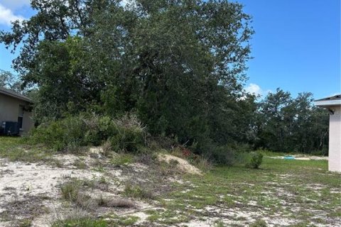 Land in Kissimmee, Florida № 2150459 - photo 2