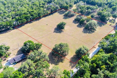 Terreno en venta en Dade City, Florida № 2096481 - foto 5
