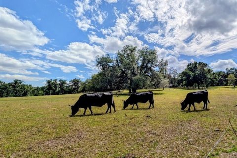 Terreno en venta en Dade City, Florida № 2096481 - foto 2