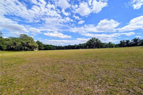 Terreno en venta en Dade City, Florida № 2096481 - foto 3