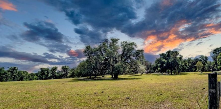 Terreno en Dade City, Florida № 2096481
