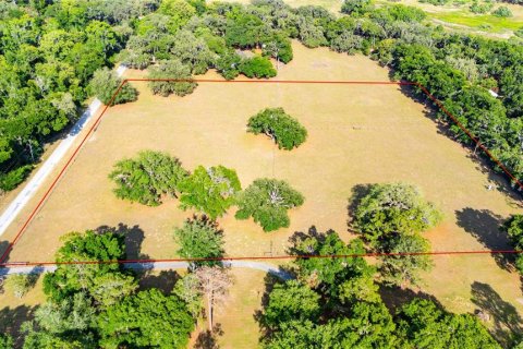 Terreno en venta en Dade City, Florida № 2096481 - foto 12