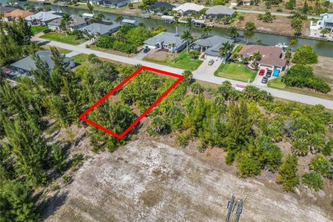 Land in Port Charlotte, Florida № 2161583 - photo 5