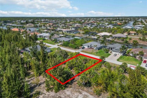 Land in Port Charlotte, Florida № 2161583 - photo 7