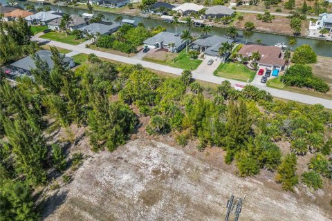Land in Port Charlotte, Florida № 2161583 - photo 6