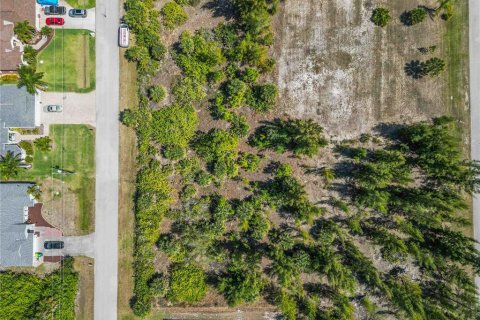 Land in Port Charlotte, Florida № 2161583 - photo 4