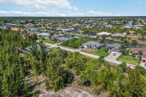Land in Port Charlotte, Florida № 2161583 - photo 8