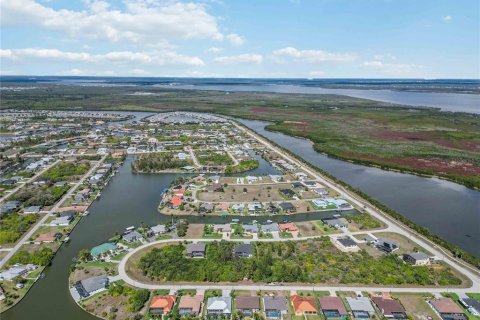 Land in Port Charlotte, Florida № 2161583 - photo 12