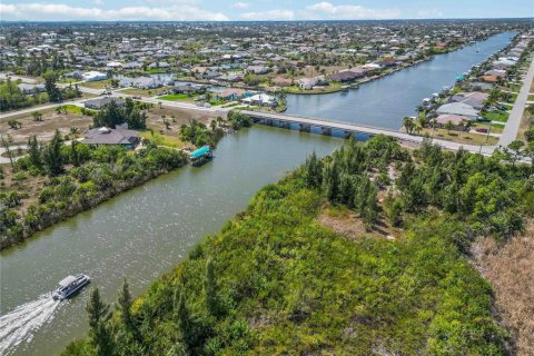 Land in Port Charlotte, Florida № 2161583 - photo 18