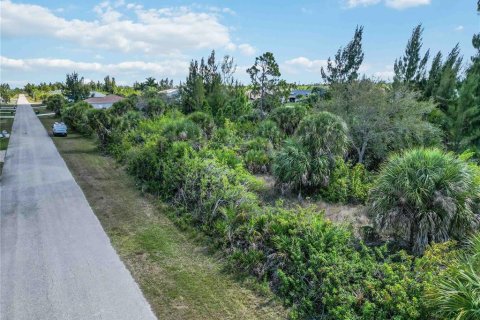 Land in Port Charlotte, Florida № 2161583 - photo 2