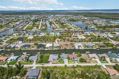 Land in Port Charlotte, Florida № 2161583 - photo 10