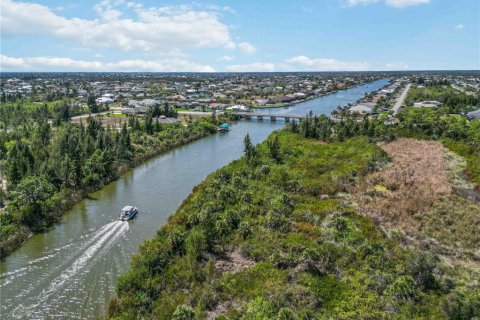 Land in Port Charlotte, Florida № 2161583 - photo 16