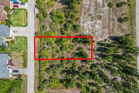 Land in Port Charlotte, Florida № 2161583