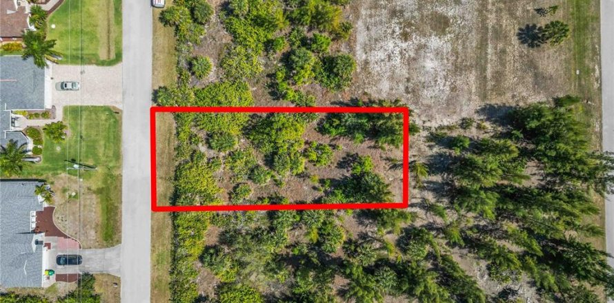Land in Port Charlotte, Florida № 2161583