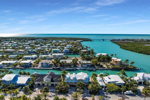 Villa ou maison à vendre à Islamorada, Village of Islands, Floride: 6 chambres, 461.17 m2 № 1989636 - photo 8