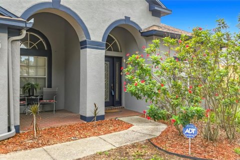 House in Riverview, Florida 3 bedrooms, 217.11 sq.m. № 2095686