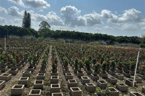 Immobilier commercial à vendre à Homestead, Floride № 2021591 - photo 19