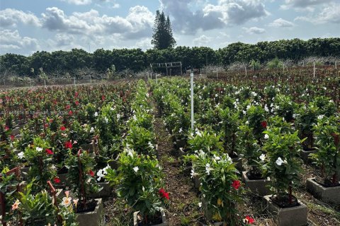 Immobilier commercial à vendre à Homestead, Floride № 2021591 - photo 18