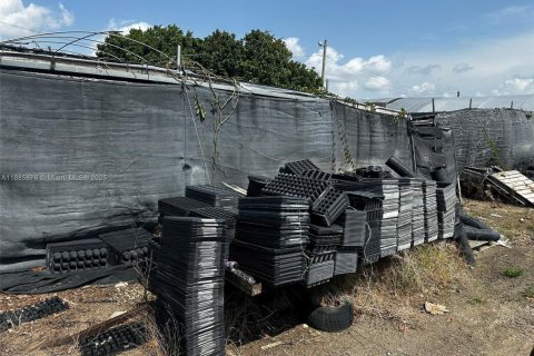 Immobilier commercial à vendre à Homestead, Floride № 2021591 - photo 8