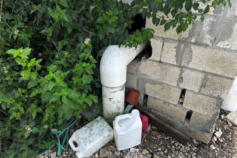 Immobilier commercial à vendre à Homestead, Floride № 2021591 - photo 3