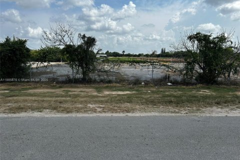 Immobilier commercial à vendre à Homestead, Floride № 2021591 - photo 27