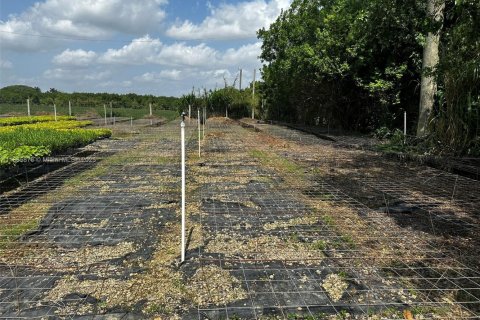 Immobilier commercial à vendre à Homestead, Floride № 2021591 - photo 13