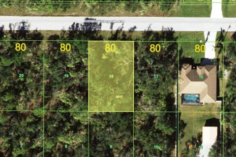 Land in Port Charlotte, Florida № 2159039