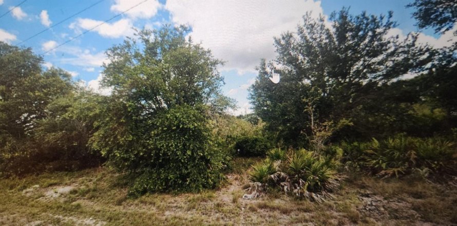 Propiedad comercial en Lehigh Acres, Florida № 2158341