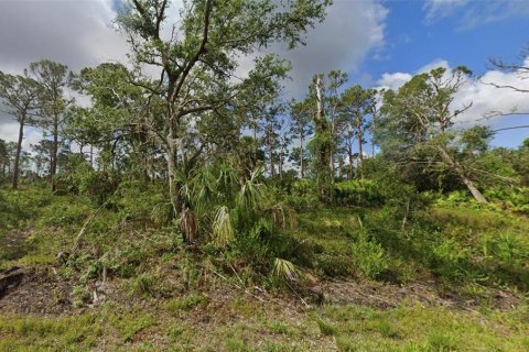 Land in Port Charlotte, Florida № 2213751