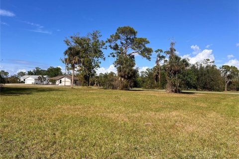 Land in Punta Gorda, Florida № 2228592 - photo 3