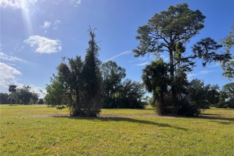 Land in Punta Gorda, Florida № 2228592 - photo 9
