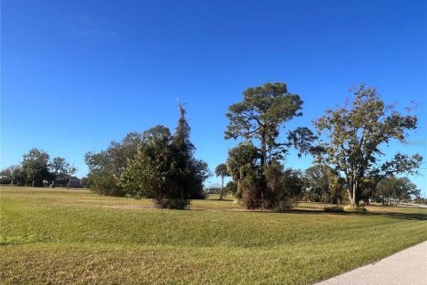 Land in Punta Gorda, Florida № 2228592 - photo 10