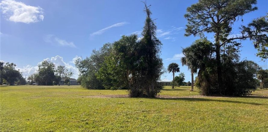 Land in Punta Gorda, Florida № 2228592
