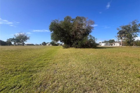 Land in Punta Gorda, Florida № 2228592 - photo 7