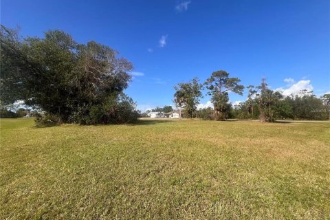 Land in Punta Gorda, Florida № 2228592 - photo 8
