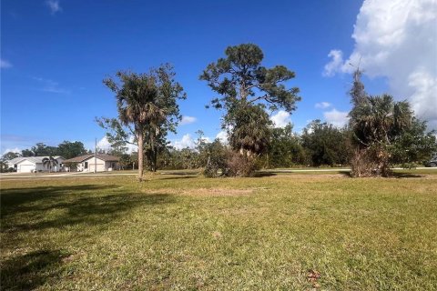 Land in Punta Gorda, Florida № 2228592 - photo 6