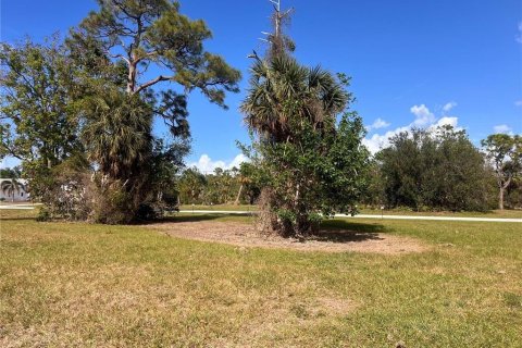 Land in Punta Gorda, Florida № 2228592 - photo 4