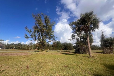 Land in Punta Gorda, Florida № 2228592 - photo 5