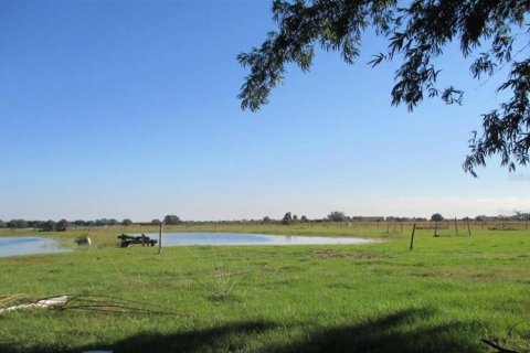 Villa ou maison à vendre à Myakka City, Floride: 4 chambres, 284.65 m2 № 1303734 - photo 24