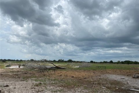 Villa ou maison à vendre à Myakka City, Floride: 4 chambres, 284.65 m2 № 1303734 - photo 29