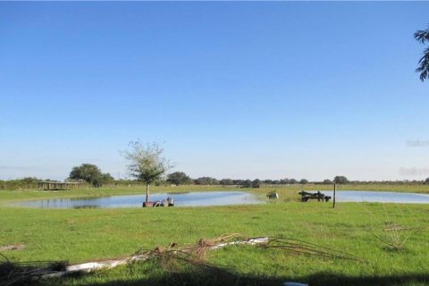 Villa ou maison à vendre à Myakka City, Floride: 4 chambres, 284.65 m2 № 1303734 - photo 23