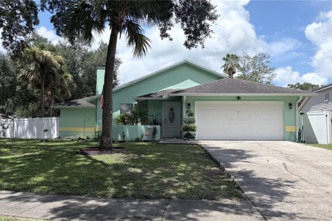 House in Valrico, Florida 3 bedrooms, 137.87 sq.m. № 2320783