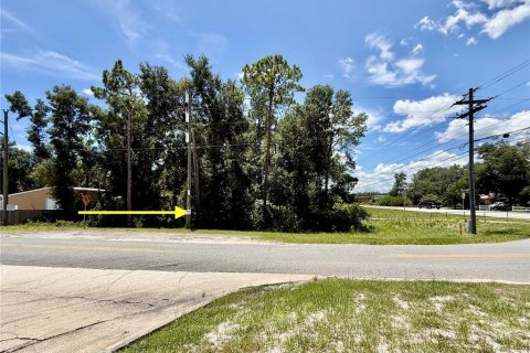 Terreno en Eustis, Florida № 2225796