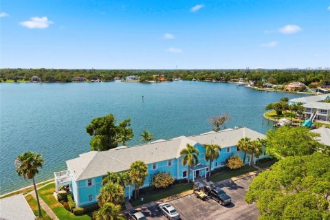 Condo in Saint Petersburg, Florida, 1 bedroom  № 2394082 - photo 19