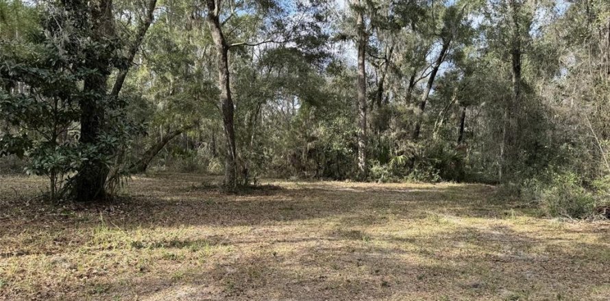 Land in Micanopy, Florida № 1511635